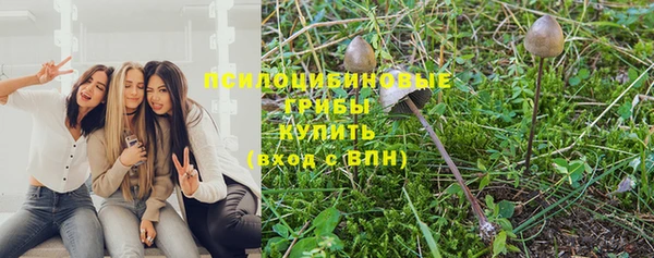 бутират Богородск