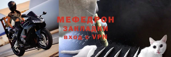spice Богданович