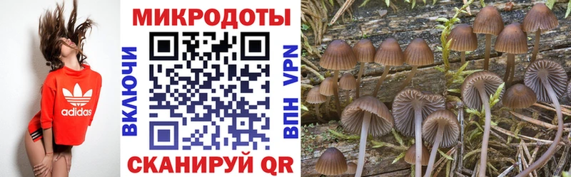 Галлюциногенные грибы прущие грибы  Наро-Фоминск 